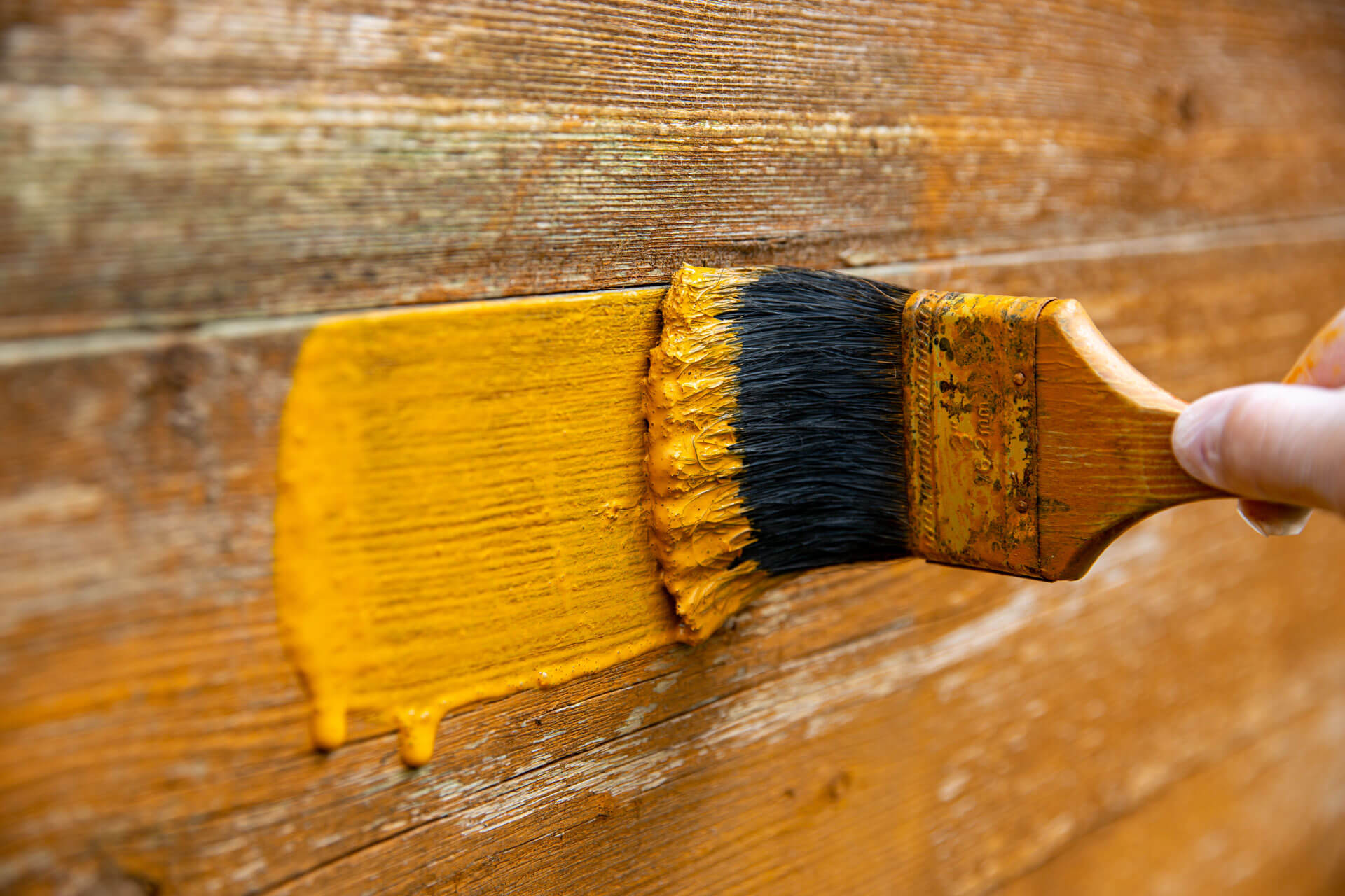 House Painting Tips