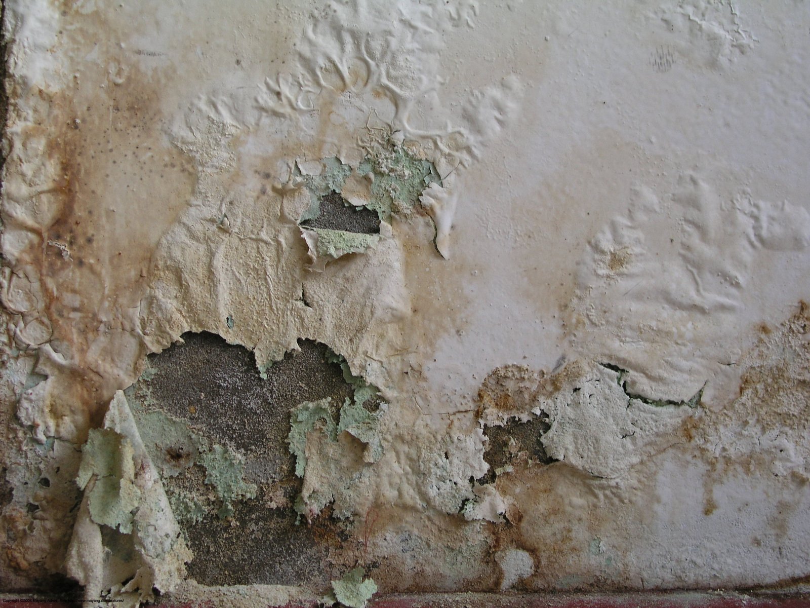 How mold and water damage affect paint